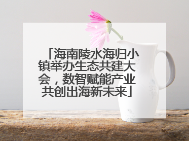 海南陵水海归小镇举办生态共建大会，数智赋能产业共创出海新未来