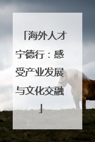 海外人才宁德行：感受产业发展与文化交融