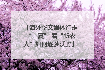 海外华文媒体行走“三夏” 看“新农人”如何逐梦沃野