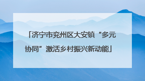 济宁市兖州区大安镇“多元协同”激活乡村振兴新动能