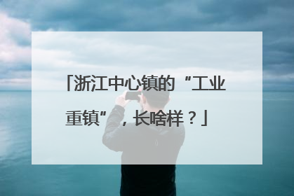 浙江中心镇的“工业重镇”，长啥样？