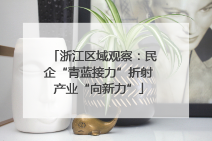 浙江区域观察：民企“青蓝接力”折射产业“向新力”