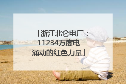 浙江北仑电厂：11234万度电涌动的红色力量