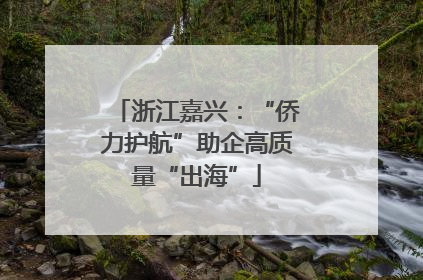 浙江嘉兴：“侨力护航”助企高质量“出海”