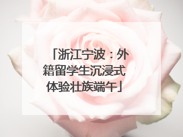 浙江宁波：外籍留学生沉浸式体验壮族端午