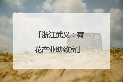 浙江武义：荷花产业助致富