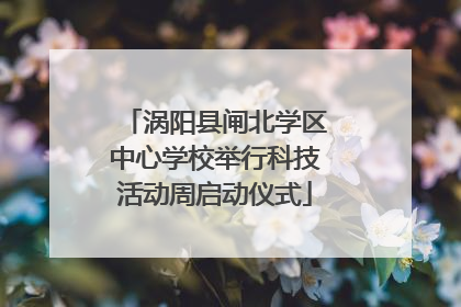涡阳县闸北学区中心学校举行科技活动周启动仪式