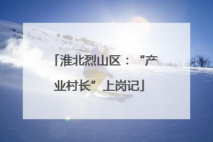 淮北烈山区：“产业村长”上岗记