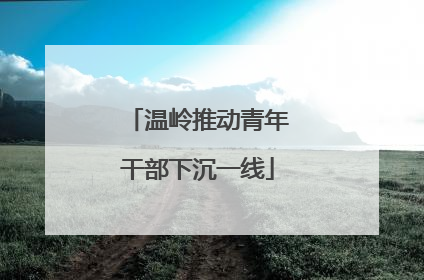 温岭推动青年干部下沉一线