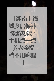 湖南上线城乡居保补缴新功能：手机点一点 养老金提档不用跑腿