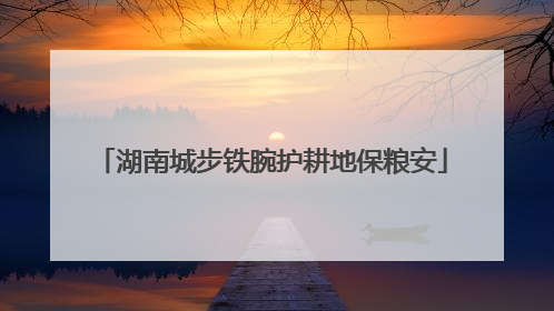 湖南城步铁腕护耕地保粮安