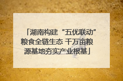 湖南构建“五优联动”粮食全链生态 千万亩粮源基地夯实产业根基