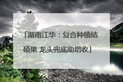 湖南江华：复合种植结硕果 龙头兜底助增收