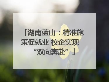 湖南蓝山：精准施策促就业 校企实现“双向奔赴”