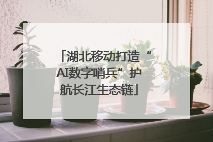 湖北移动打造“AI数字哨兵”护航长江生态链
