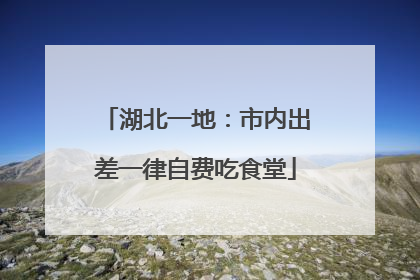 湖北一地：市内出差一律自费吃食堂