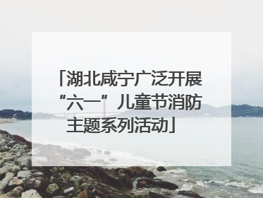 湖北咸宁广泛开展“六一”儿童节消防主题系列活动