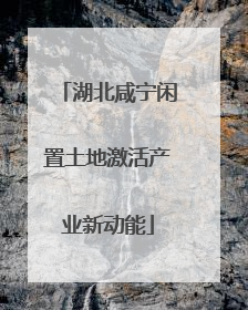 湖北咸宁闲置土地激活产业新动能