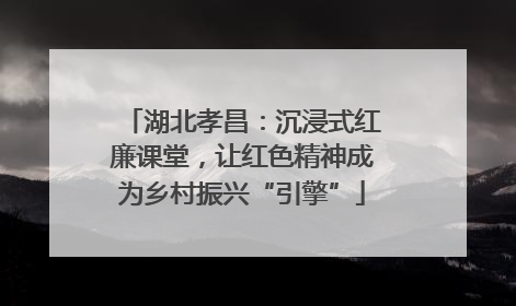湖北孝昌：沉浸式红廉课堂，让红色精神成为乡村振兴“引擎”