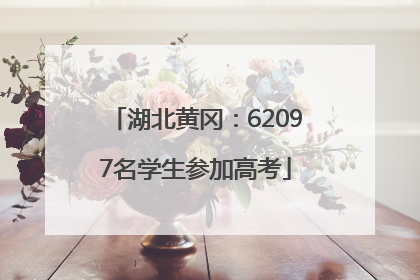 湖北黄冈：62097名学生参加高考