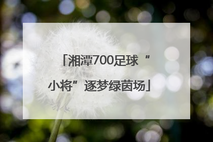 湘潭700足球“小将”逐梦绿茵场