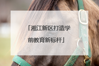 湘江新区打造学前教育新标杆