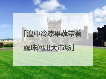 湟中冷凉果蔬带着露珠闯出大市场