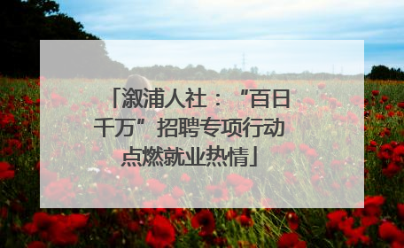 溆浦人社：“百日千万”招聘专项行动点燃就业热情