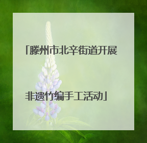 滕州市北辛街道开展非遗竹编手工活动