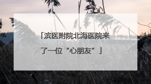 滨医附院北海医院来了一位“心朋友”