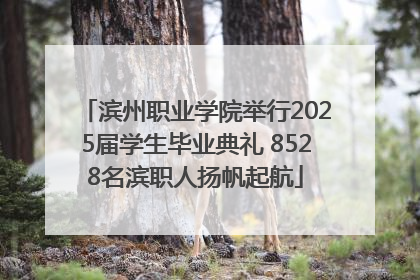 滨州职业学院举行2025届学生毕业典礼 8528名滨职人扬帆起航