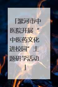 漯河市中医院开展“中医药文化进校园”主题研学活动