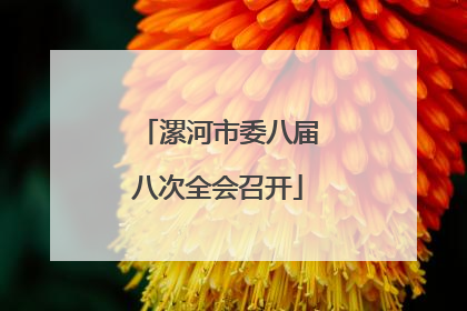 漯河市委八届八次全会召开