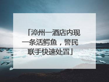 漳州一酒店内现一条活鳄鱼，警民联手快速处置