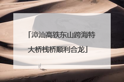 漳汕高铁东山跨海特大桥栈桥顺利合龙