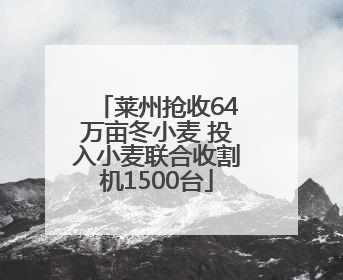 莱州抢收64万亩冬小麦 投入小麦联合收割机1500台