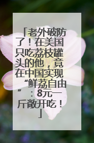 老外破防了！在美国只吃荔枝罐头的他，竟在中国实现“鲜荔自由”：8元一斤敞开吃！