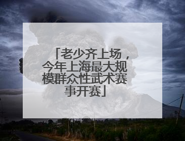 老少齐上场，今年上海最大规模群众性武术赛事开赛