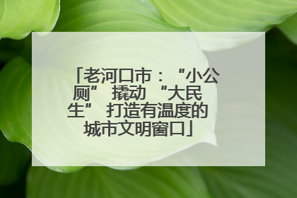老河口市：“小公厕” 撬动 “大民生” 打造有温度的城市文明窗口