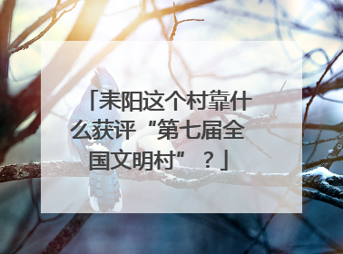 耒阳这个村靠什么获评“第七届全国文明村”？