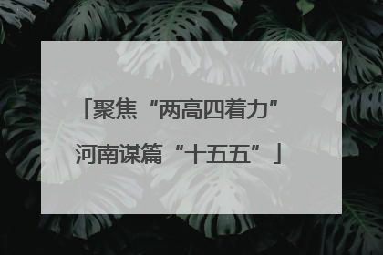 聚焦“两高四着力” 河南谋篇“十五五”