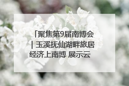 聚焦第9届南博会｜玉溪抚仙湖畔旅居经济上南博 展示云南生活新样本