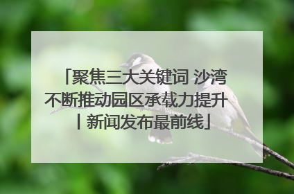 聚焦三大关键词 沙湾不断推动园区承载力提升丨新闻发布最前线