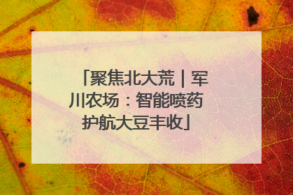 聚焦北大荒｜军川农场：智能喷药护航大豆丰收