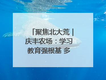 聚焦北大荒｜庆丰农场：学习教育强根基 多管齐下助发展
