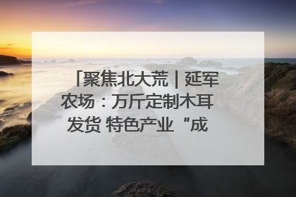 聚焦北大荒｜延军农场：万斤定制木耳发货 特色产业“成绩单”亮眼