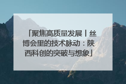 聚焦高质量发展丨丝博会里的技术脉动：陕西科创的突破与想象