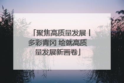 聚焦高质量发展丨多彩青冈 绘就高质量发展新画卷
