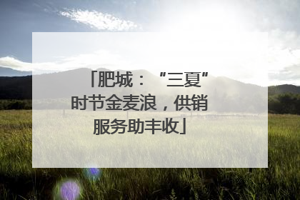 肥城：“三夏”时节金麦浪，供销服务助丰收