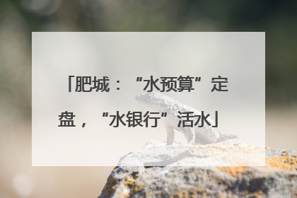 肥城：“水预算”定盘，“水银行”活水